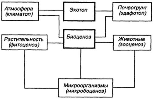 Биология. 10 класс